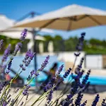 Camp Panorama With Pool Camping Drage
