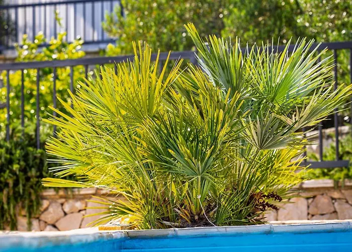 Camp Panorama With Pool Parque de Campismo *