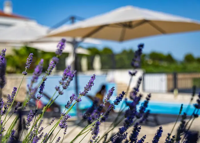 Camp Panorama With Pool Kamp alanı Drage