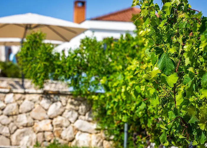 Camp Panorama With Pool Parque de Campismo Drage